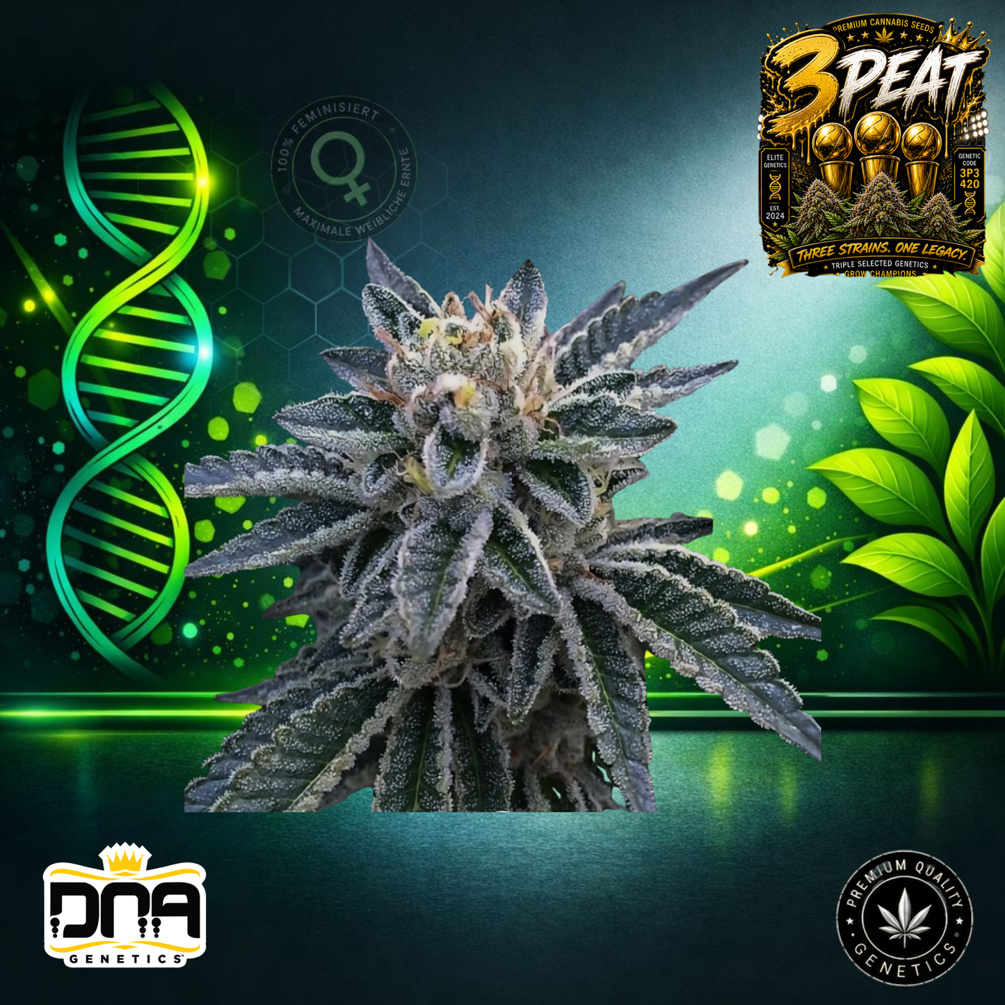 3Peat – DNA Genetics