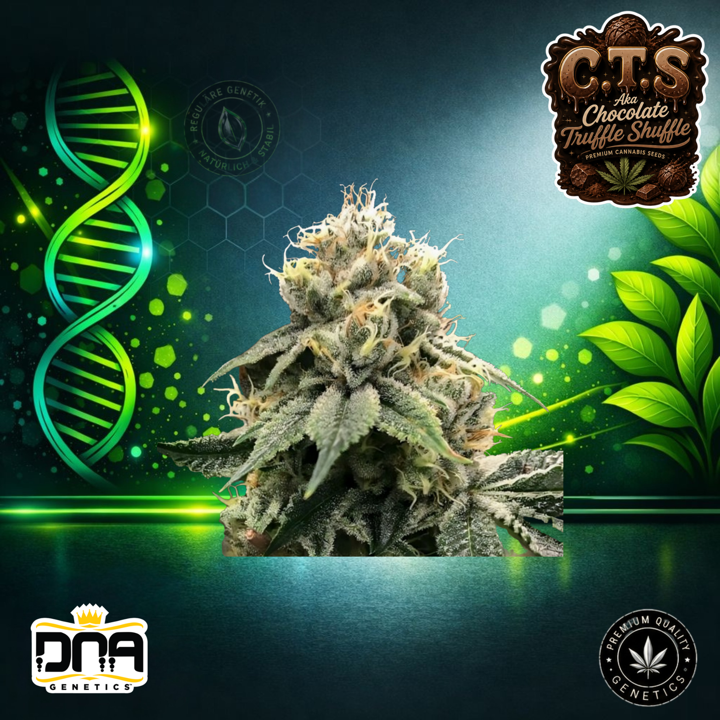 C.T.S – Chocolate Truffle Shuffle