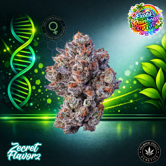 Zecret FlavorZ EXOTIC RAINBOW – Feminized Cannabis Seeds