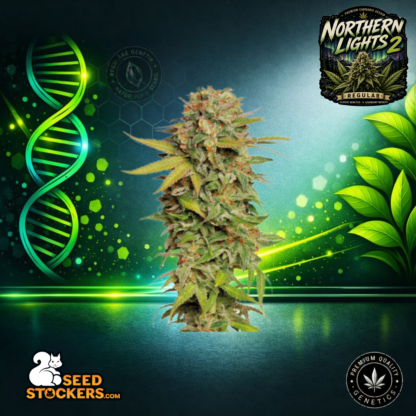 Northern Lights 2 – Reguläre Hanfsamen | Seedstockers