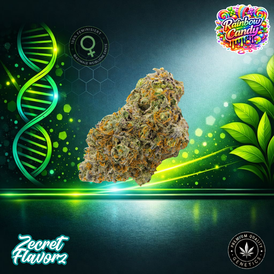 Zecret FlavorZ RAINBOW CANDY – Feminized Cannabis Seeds