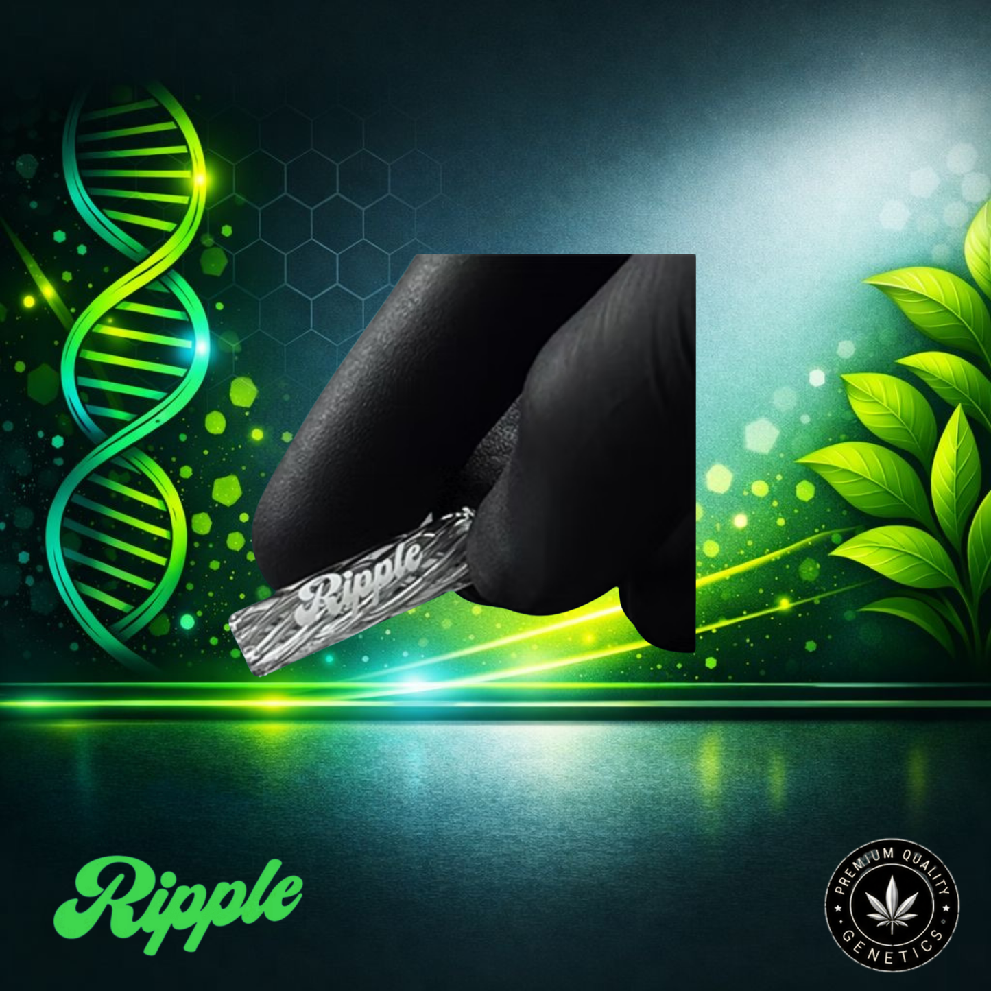 Ripple I 8 – Glassy | Glass Filter