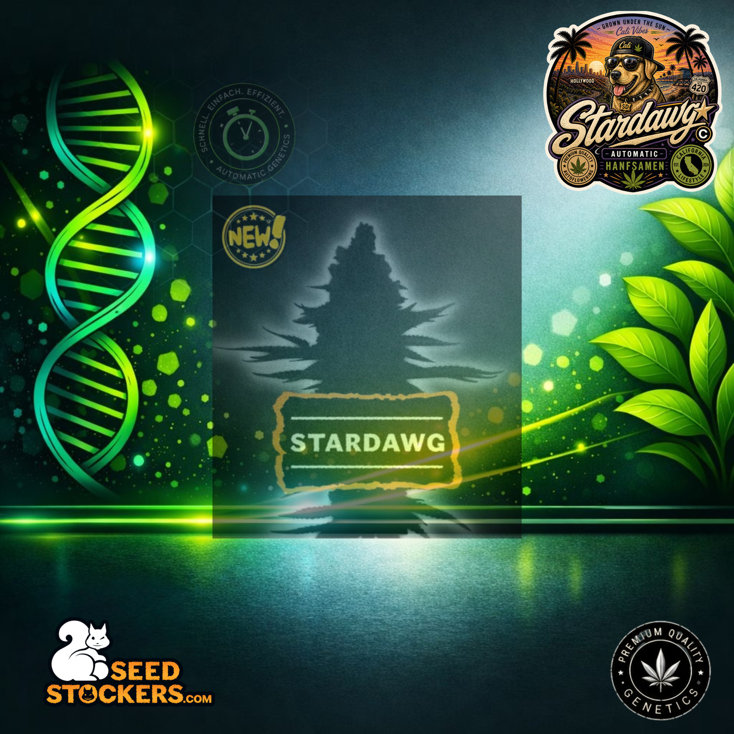 Stardawg Automatic Hanfsamen