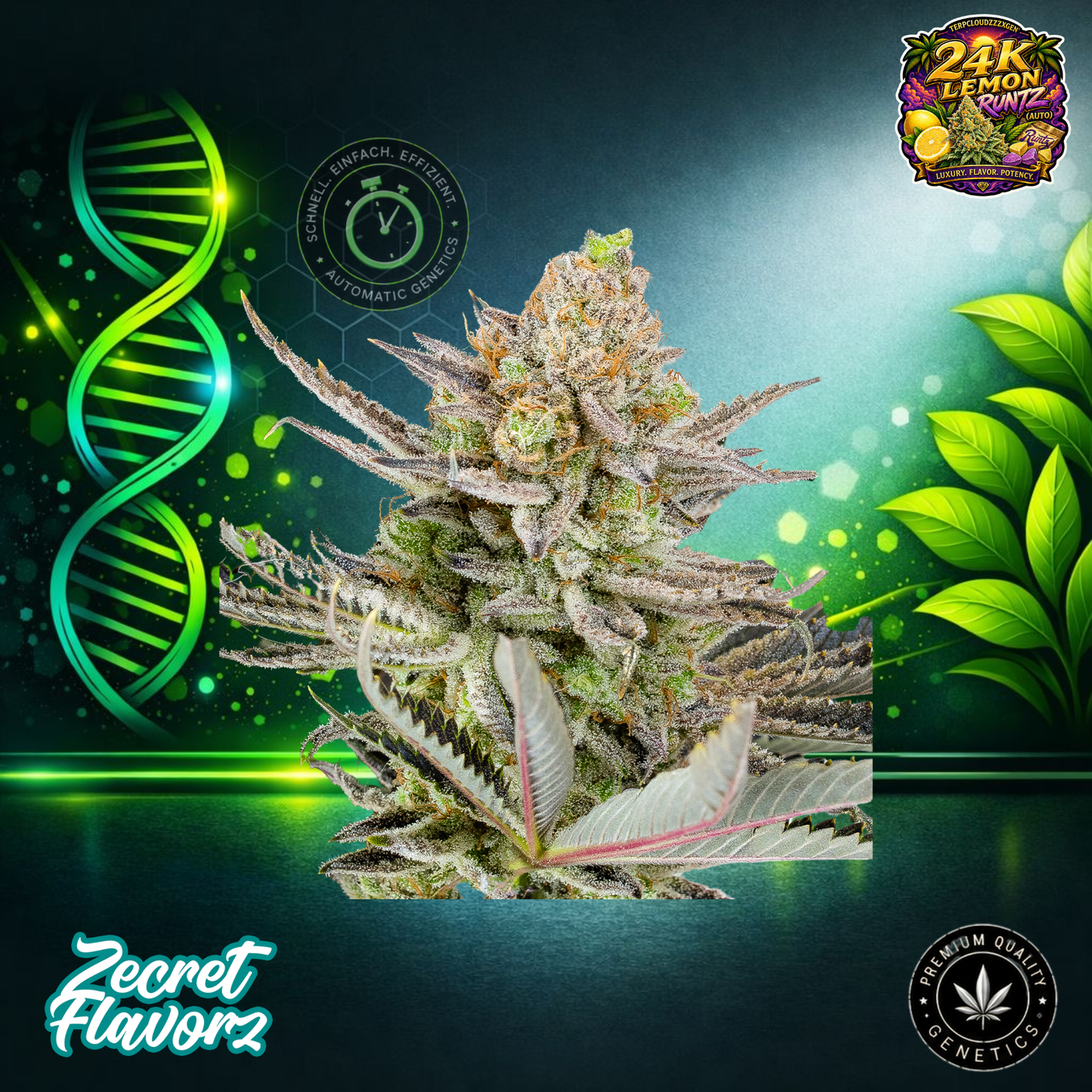 24K Lemon Runtz (Auto) – ZecretFlavorZ