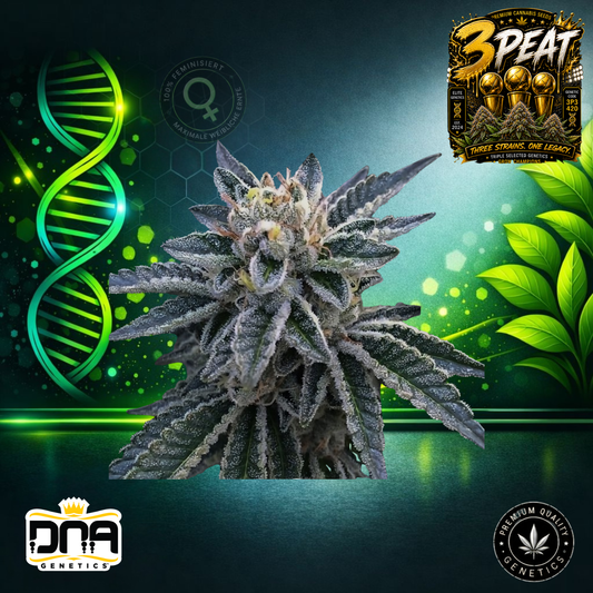 3Peat – DNA Genetics