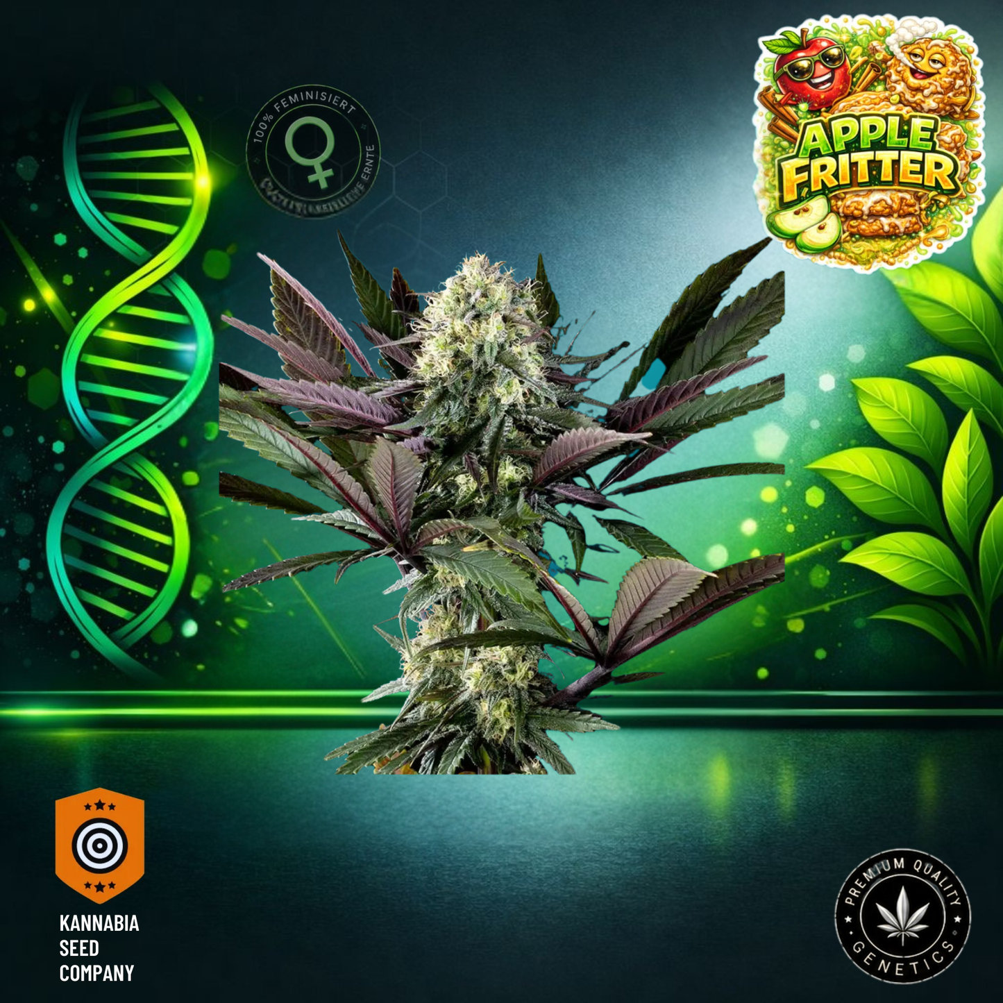 Apple Fritter Feminisiert - Kannabia Seeds