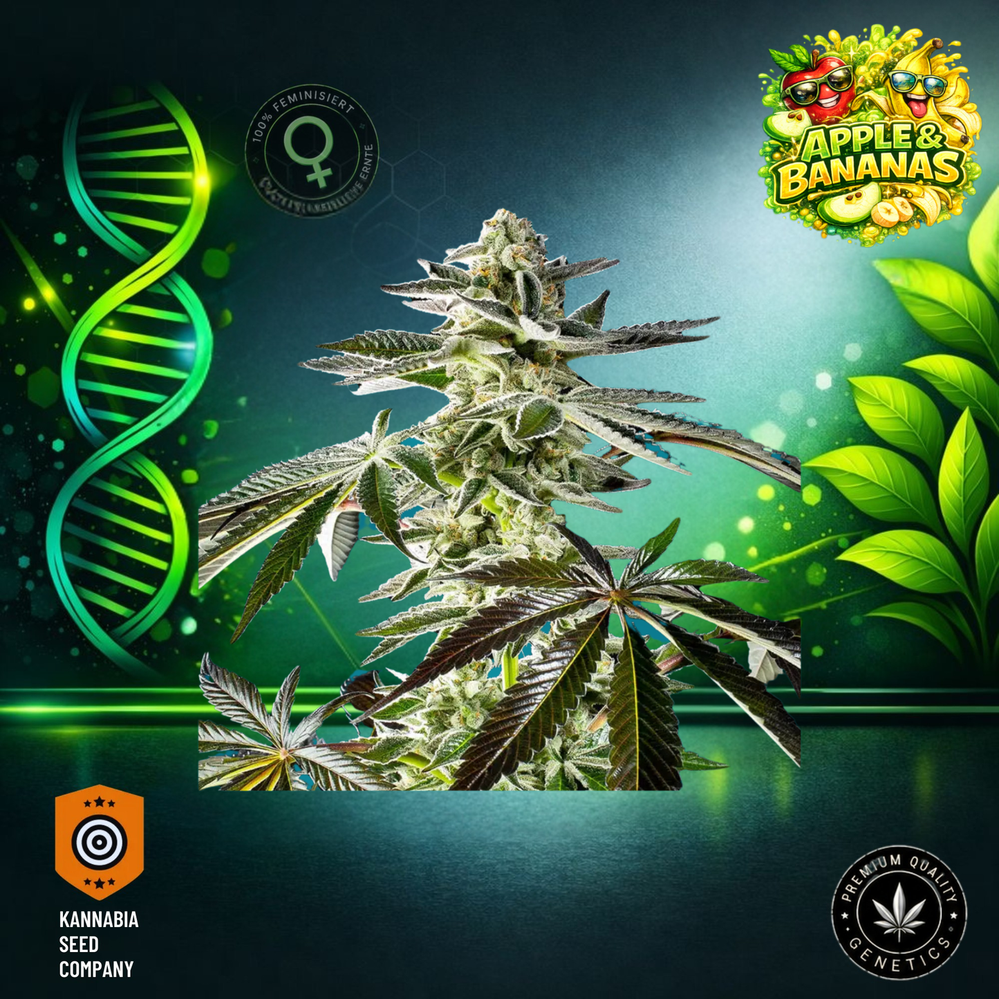 Apple & Bananas Feminisiert - Premium Cannabis Seeds