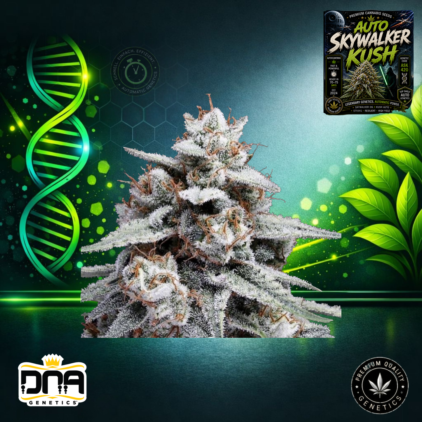 Auto Skywalker Kush – DNA Genetics
