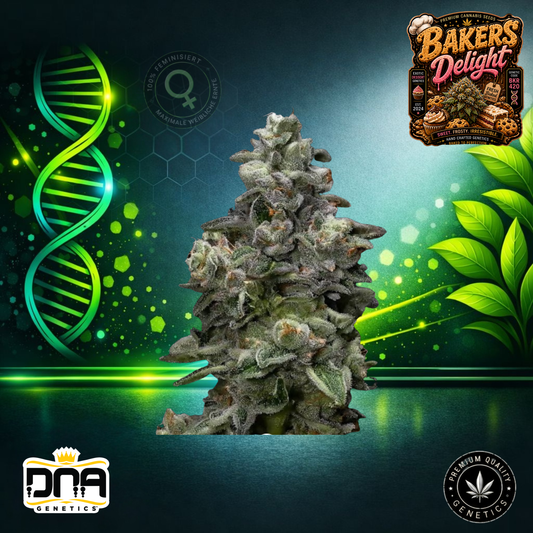 Bakers Delight – DNA Genetics