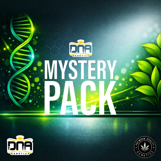 DNA Genetics Mystery Pack – Überraschungspaket