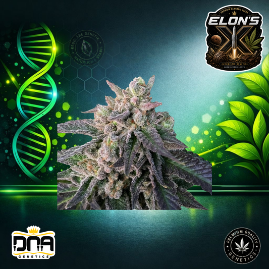 Elon's X – DNA Genetics