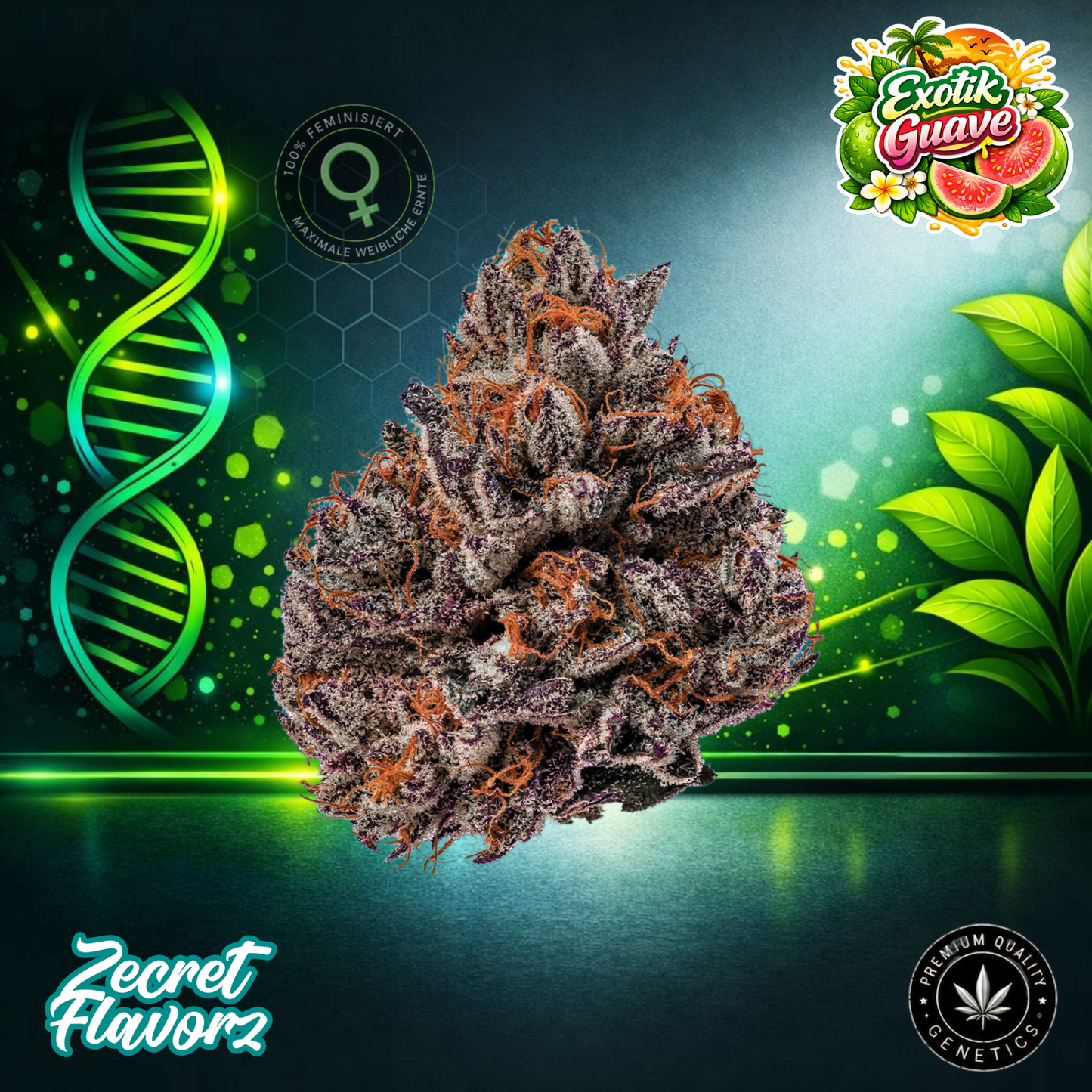 Zecret Flavorz EXOTIC GUAVA – Feminized Cannabis Seeds