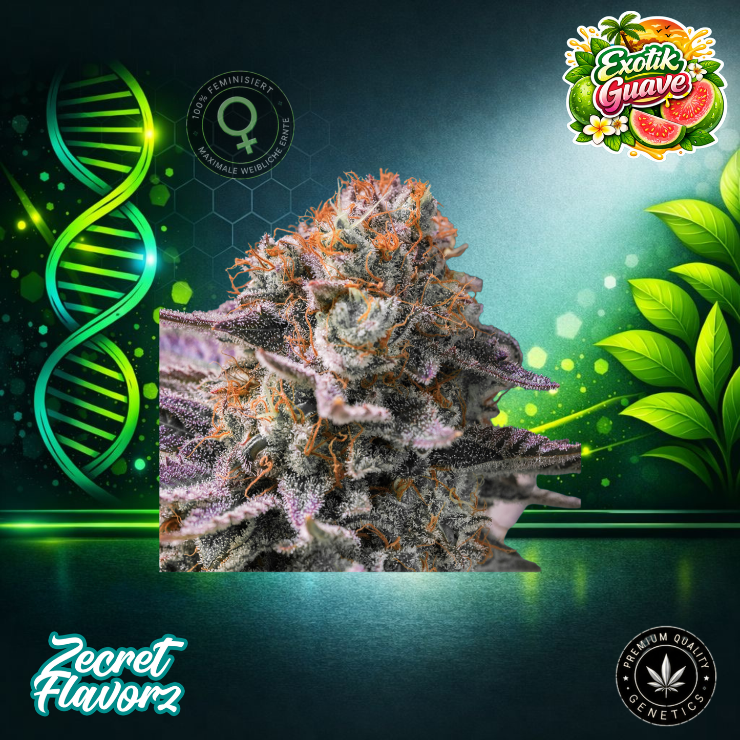 Zecret Flavorz EXOTIC GUAVA – Feminized Cannabis Seeds