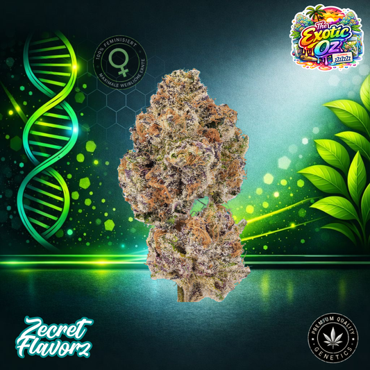 Zecret FlavorZ The Exotic Oz – Feminized Cannabis Seeds