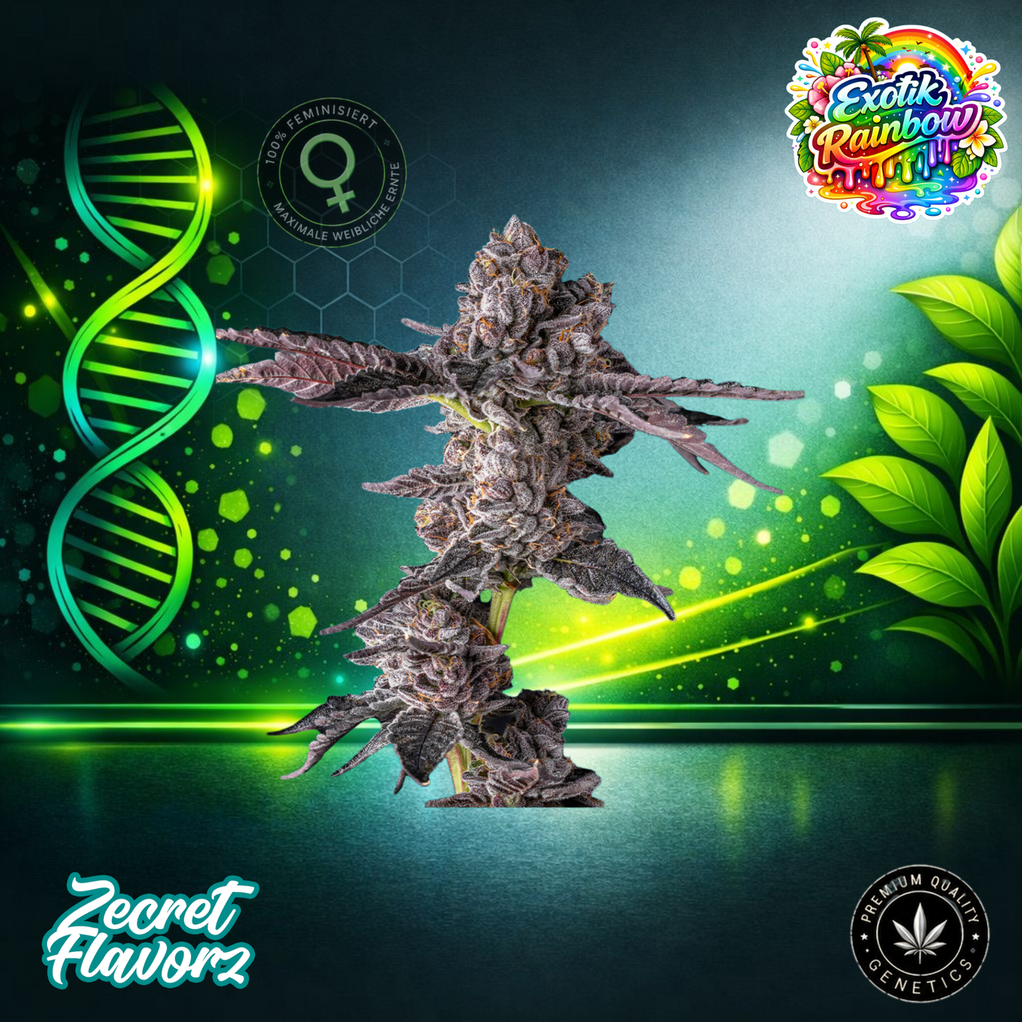 Zecret FlavorZ EXOTIC RAINBOW – Feminized Cannabis Seeds