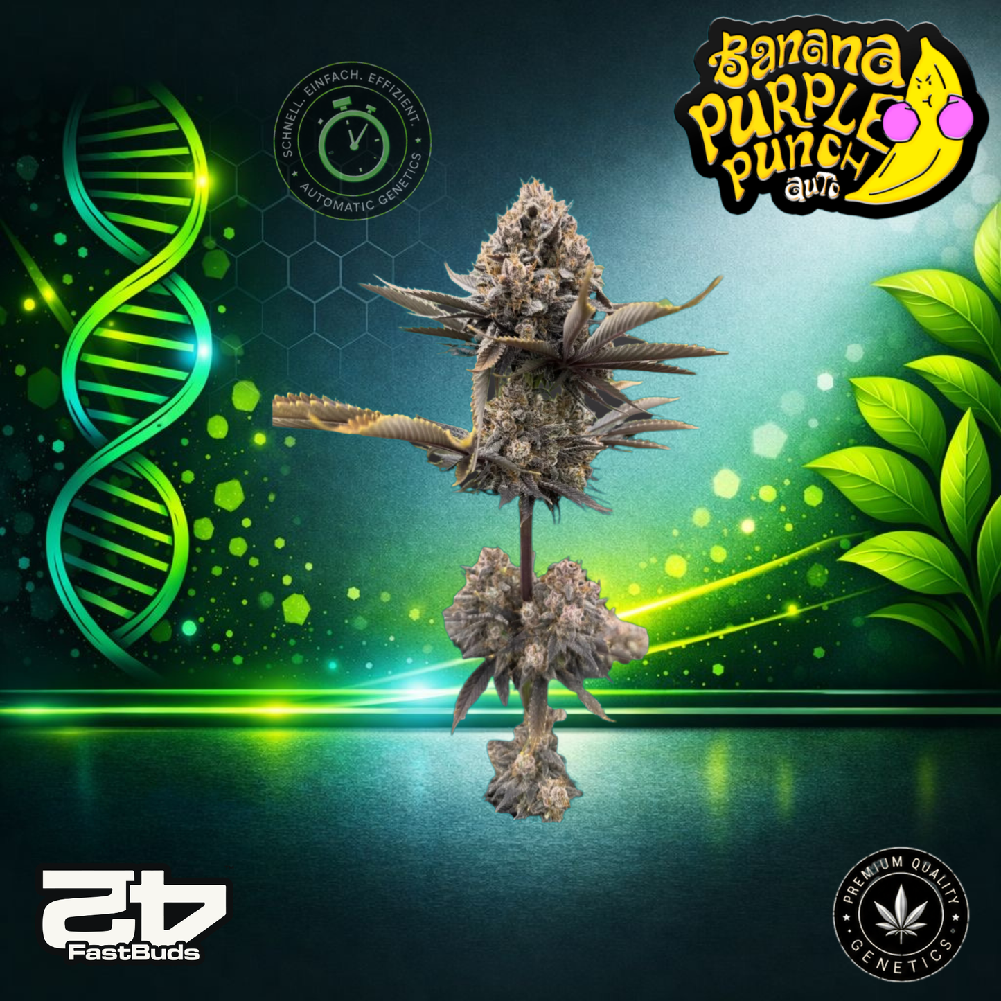 FastBuds BananaPunch RF3 Auto - Autoflowering Cannabis Samen