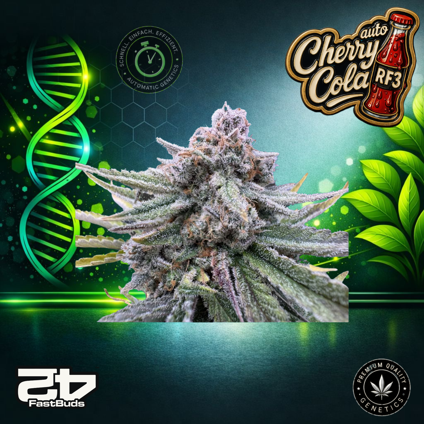 FastBuds CherryCola RF3 Auto - Autoflowering Cannabis-Samen