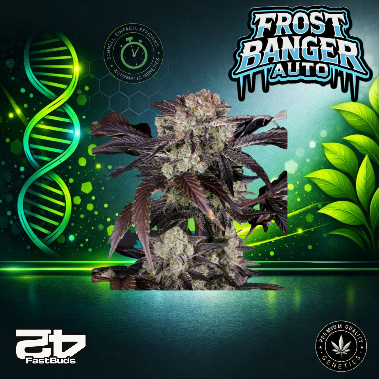 FastBuds Frostbanger Auto - Autoflowering Cannabis-Samen