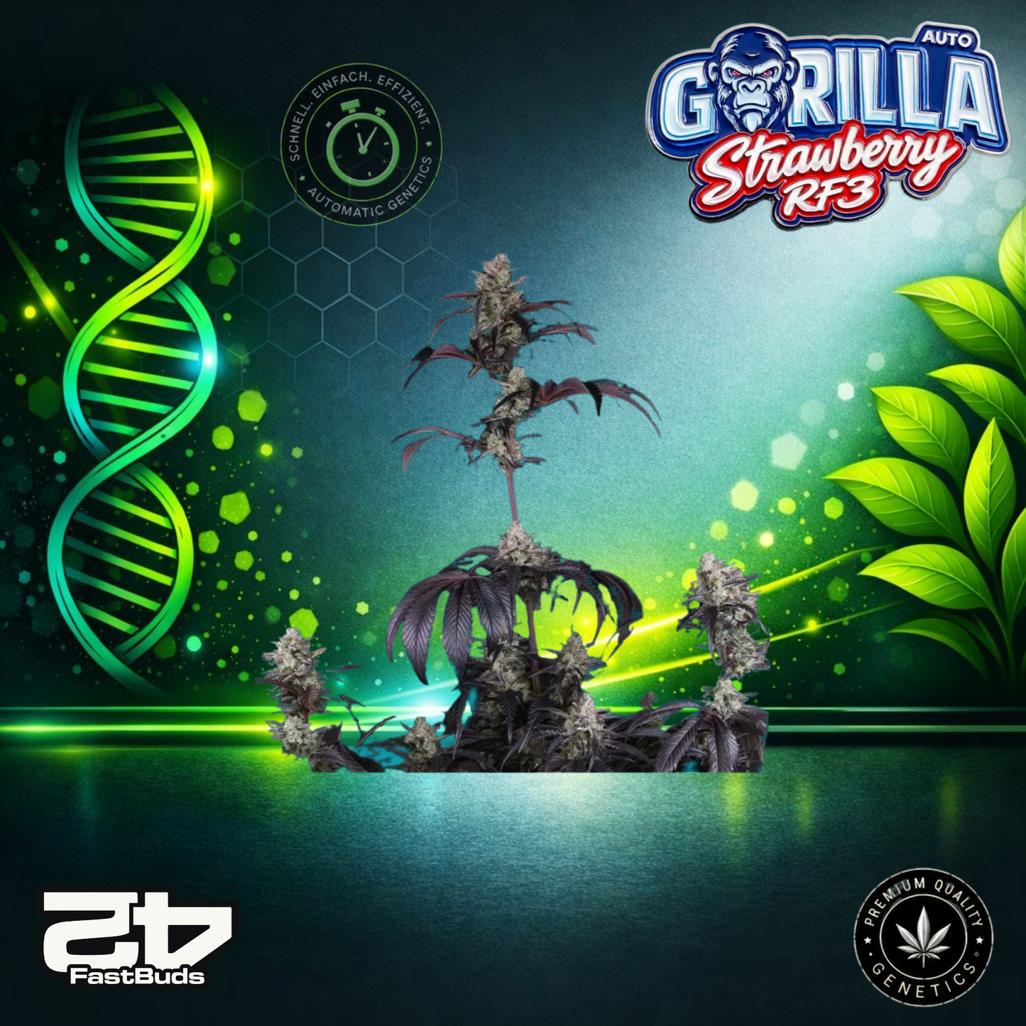 FastBuds Gorilla Strawberry RF3 Auto - Autoflowering Cannabis-Samen