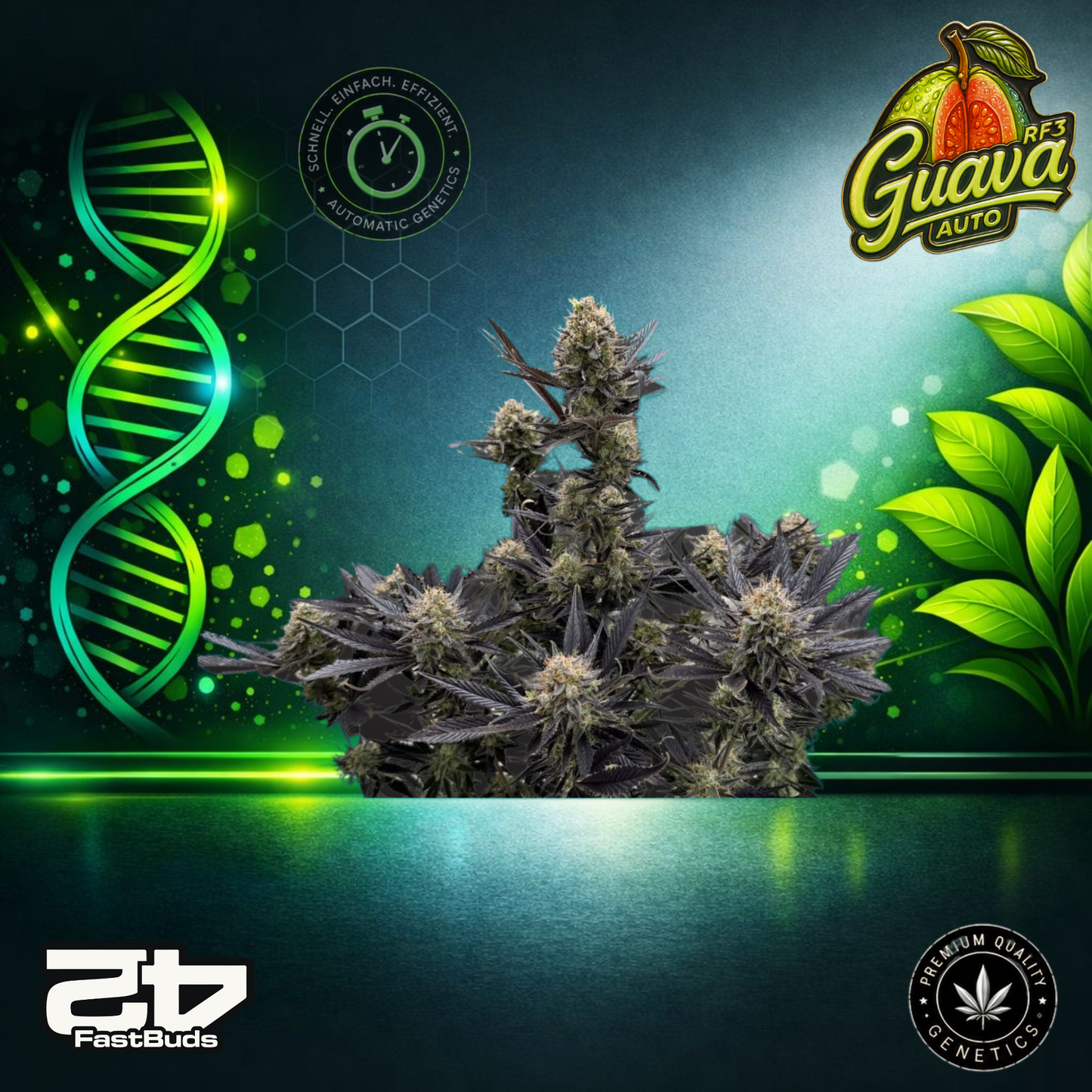 FastBuds Guava RF3 Auto - Autoflowering Cannabis-Samen