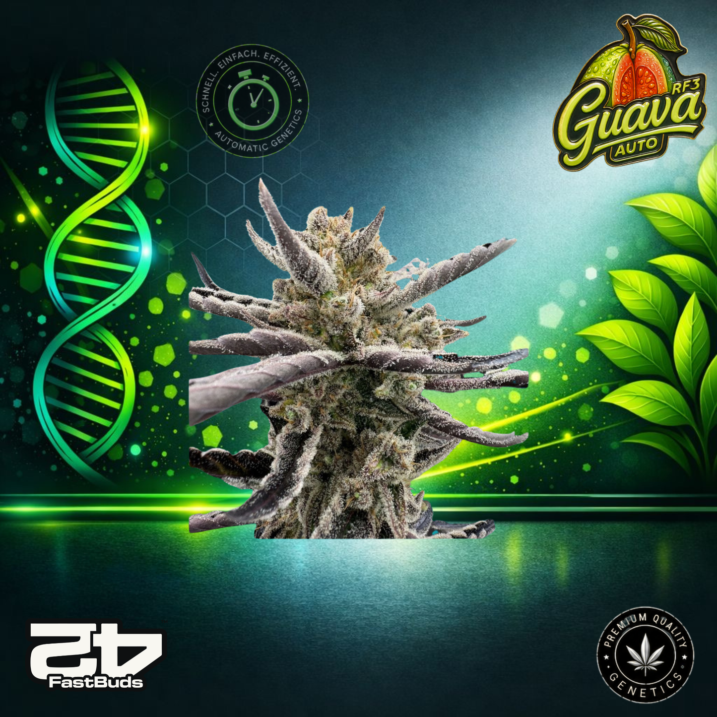 FastBuds Guava RF3 Auto - Autoflowering Cannabis-Samen