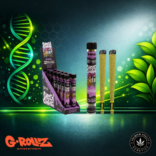G-Rollz Cheech & Chong™ Terpene Infused Cones Blackberry OGK