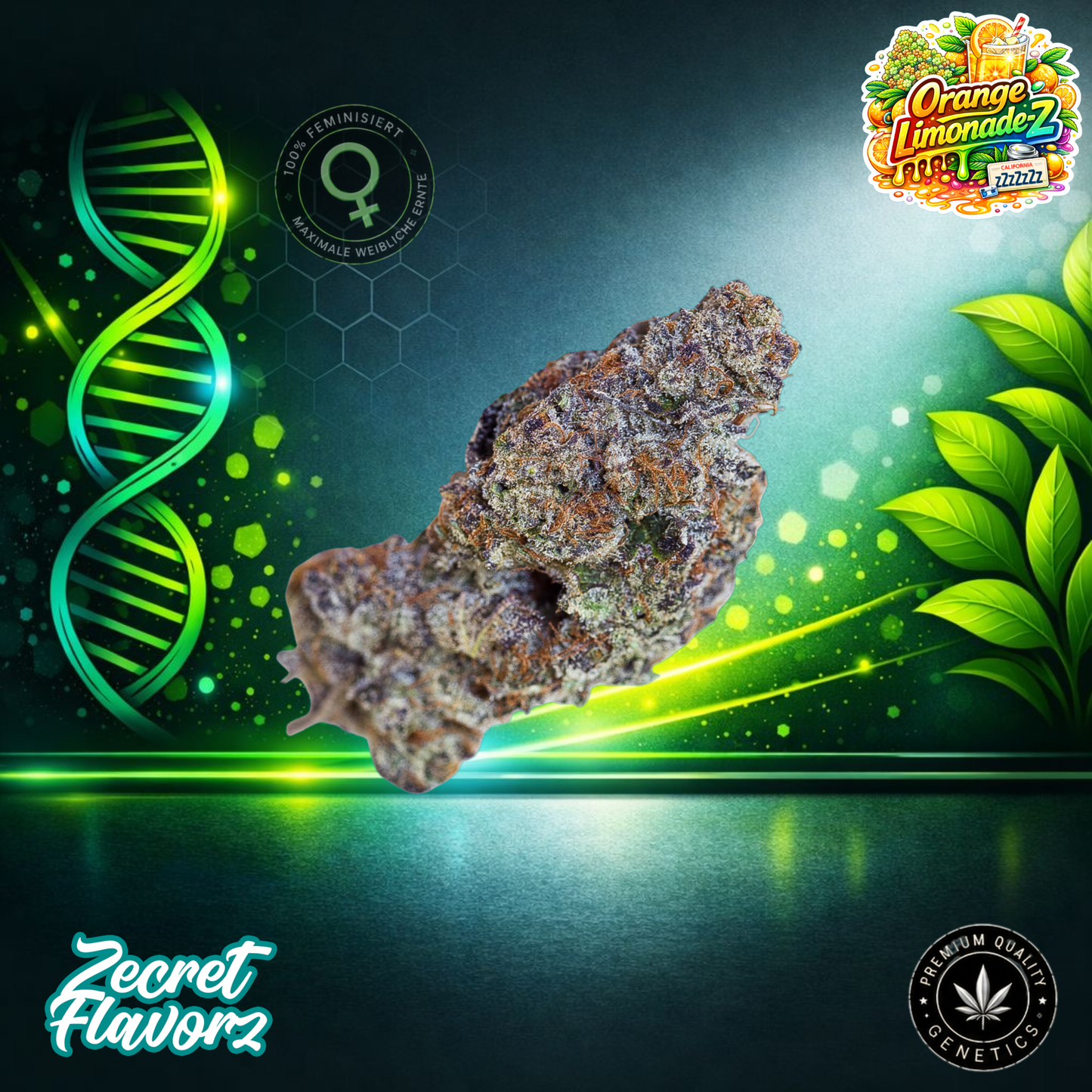 Zecret FlavorZ Orange Lemonade-Z – Feminized Cannabis Seeds