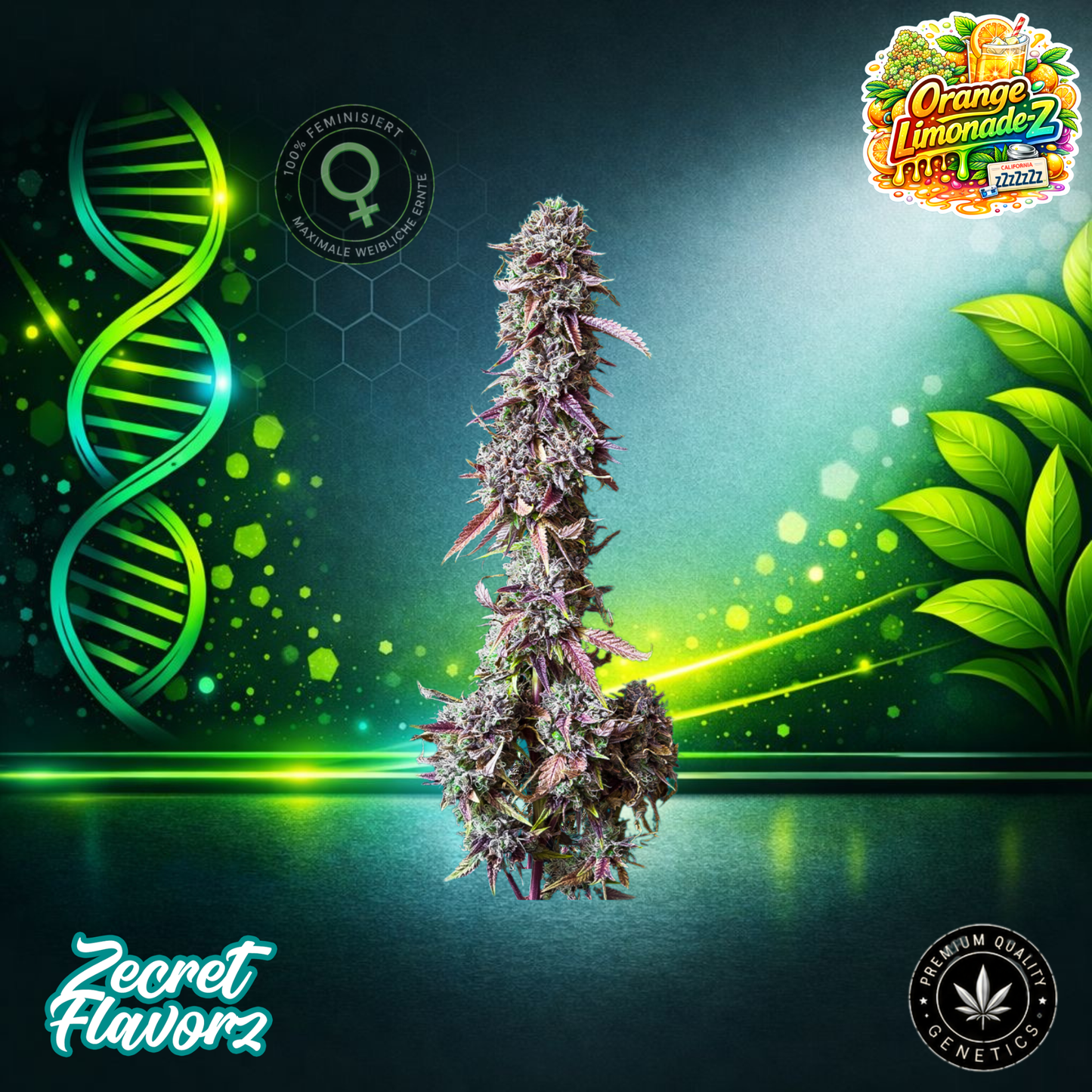 Zecret FlavorZ Orange Lemonade-Z – Feminized Cannabis Seeds