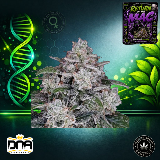 Return of the MAC – DNA Genetics