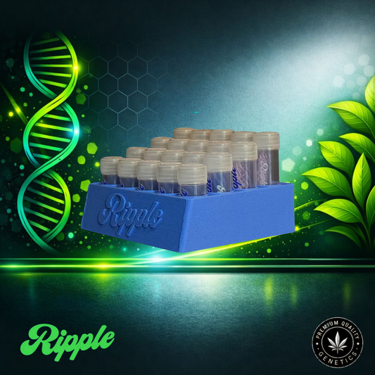 Ripple Display Stand – Präsentationsständer für Glasfilter