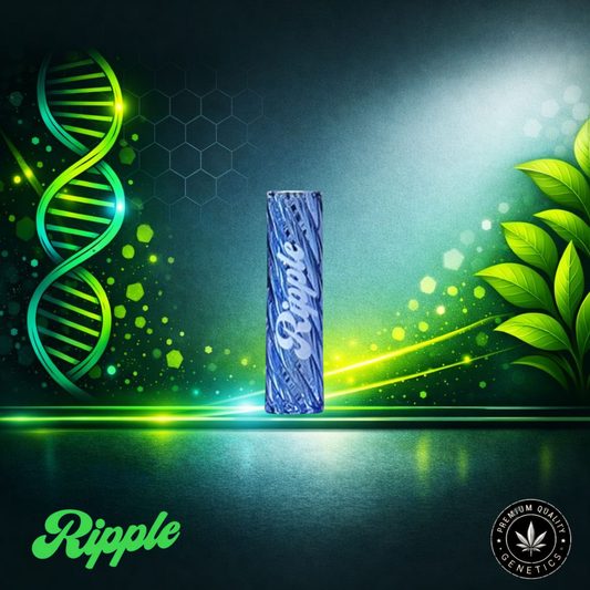 Ripple I 8 – Blue | Glass Filter