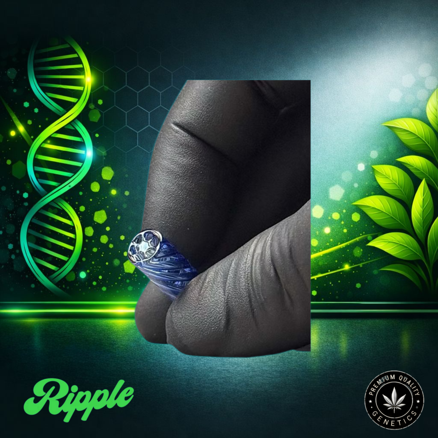 Ripple I 8 – Blue | Glass Filter