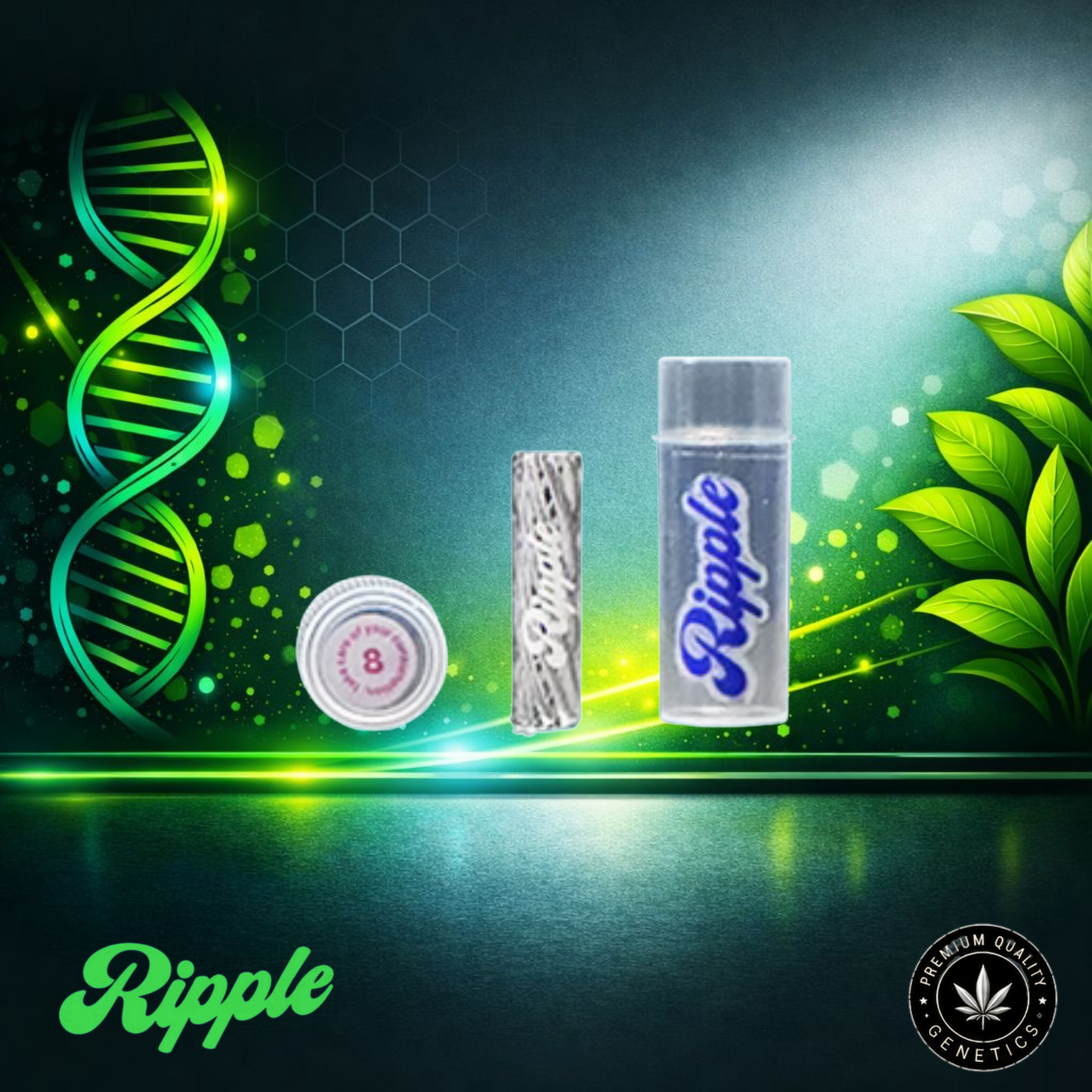Ripple I 8 – Glassy | Glass Filter