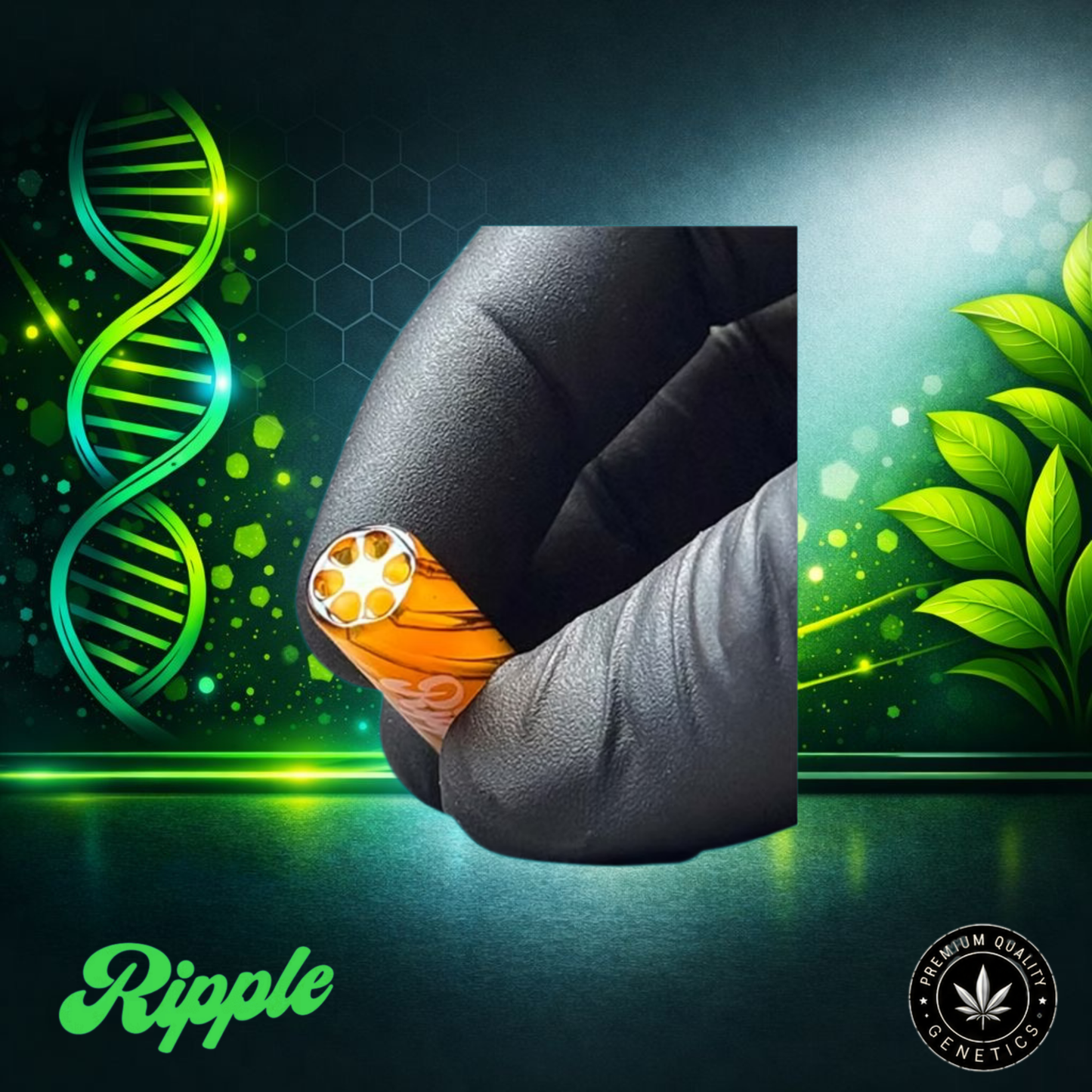 Ripple I 10 – Honey | Glass Filter