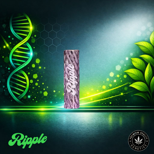 Ripple I 8 – Clear | Glass Filter