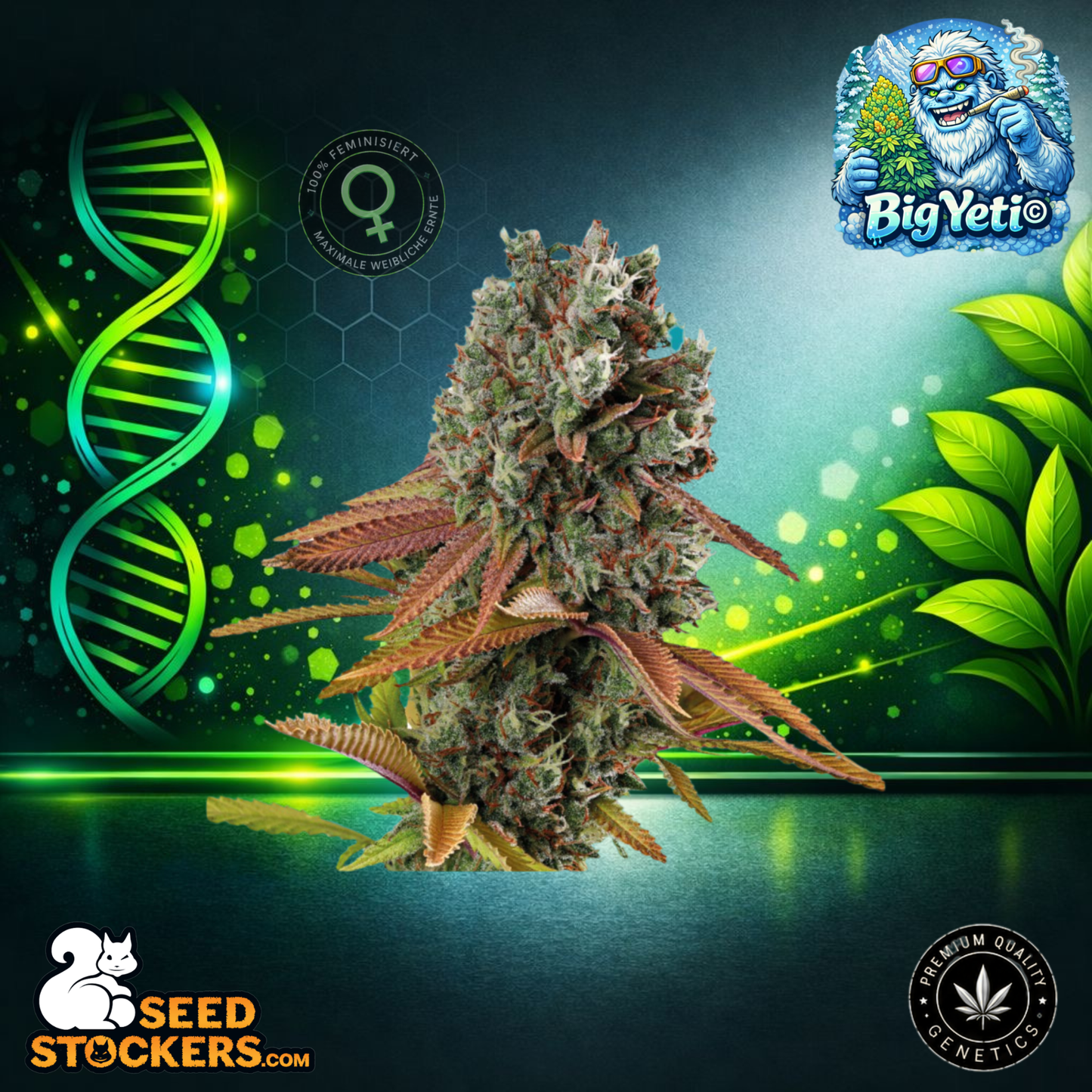 SeedStockers - Big Yeti© Outdoor Hanfsamen