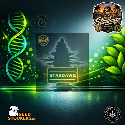 Stardawg Automatic Hanfsamen