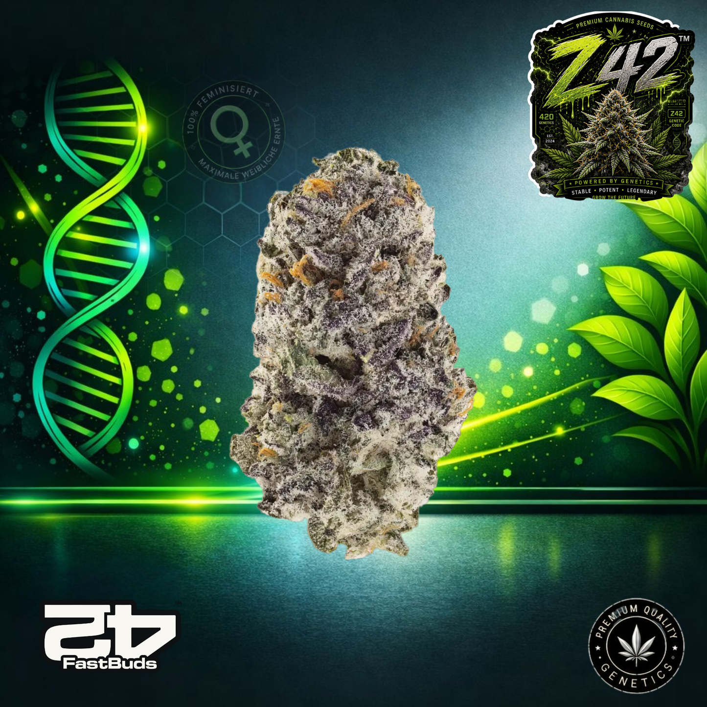 Z42™ – Feminisierte Samen | FastBuds