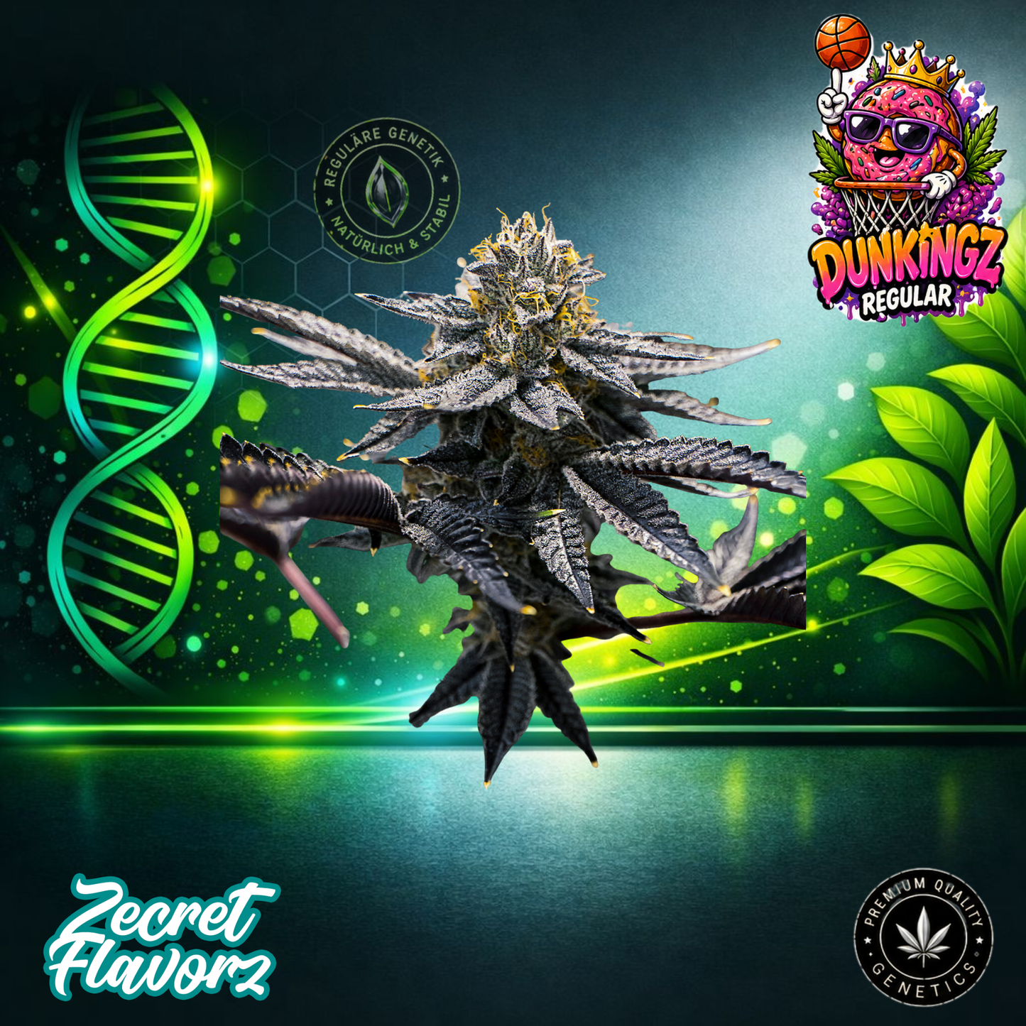 DUNKINGZ (Regular) – ZecretFlavorZ Regular Cannabis Seeds