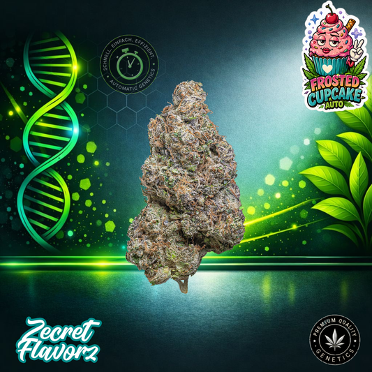 Frosted Cupcake (Auto) – ZecretFlavorZ Autoflowering Seeds