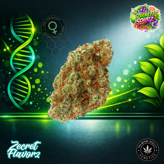 Zecret FlavorZ ZECRET SOURZ – Feminized Cannabis Seeds
